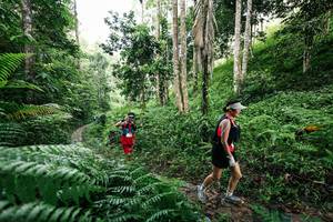 BIB: 
                            <button type="button" onclick="openModal(26409084)" class="btn btn-primary btn-sm float-right btn-popup" data-toggle="modal" data-target=".modal-high-quality">
                        <i class="fas fa-shopping-cart"></i> Add to Cart
                    </button>
                                            <button type="button" onclick="isThisMe(26409084, true)" class="btn btn-success btn-sm float-right btn-popup btn-isme hidden" data-toggle="tooltip" data-placement="bottom" title="นี่คือรูปของคุณใช่ไหม คลิกที่นี่เพื่อเอาเข้าอัลบั้ม">
                        <i class="fas fa-plus"></i> Add to album
                    </button>
                    <button type="button" onclick="isThisMe(26409084, false)" class="btn btn-warning btn-sm float-right btn-popup btn-isnotme hidden">
                        <i class="fas fa-ban"></i> Remove from album
                    </button>